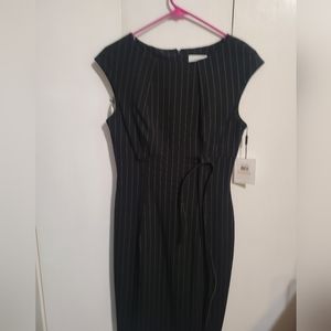 Calvin Klein  NWT pinstripe work dress size 2